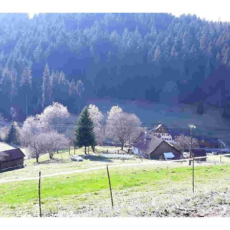 Ferienhaus Schwarzwald Seewald Erzgrube Badesee 100% Natur Bagian luar foto