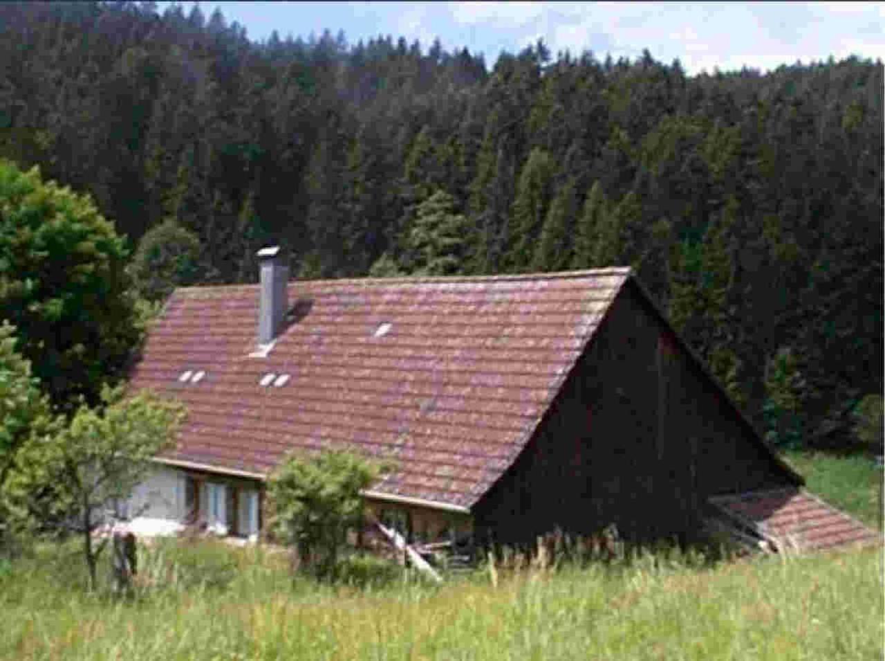 Ferienhaus Schwarzwald Seewald Erzgrube Badesee 100% Natur Bagian luar foto